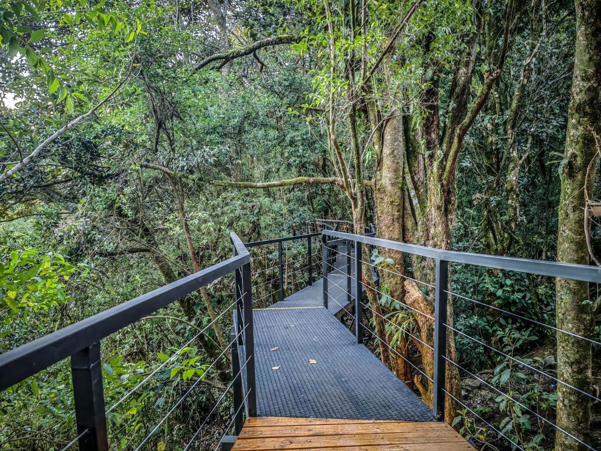 Cloud Forest Lodge By Boeena Monteverde Exteriör bild